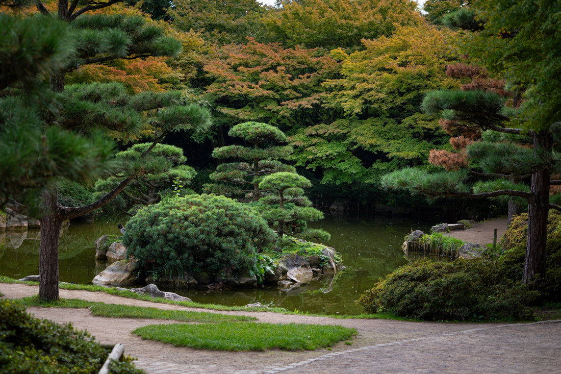 Japanische Gärten in Düsseldorf: Drei Orte für Ruhe und Kultur