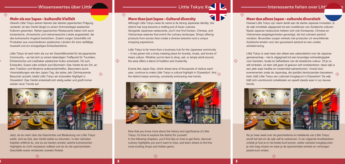 Little Tokyo Düsseldorf Guide (e-boek)